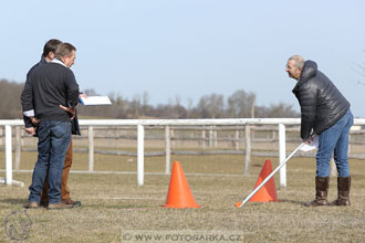 International Equestrian Congress - Horse in...