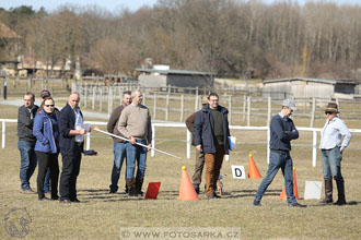 International Equestrian Congress - Horse in...