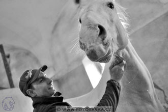 International Equestrian Congress - Horse in...