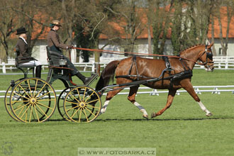 Rudolfův pohár 2016 - 2.den