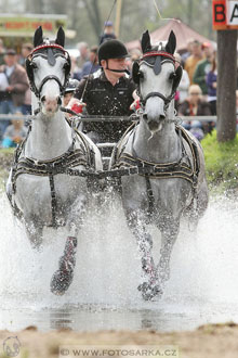 Rudolfův pohár 2016 - 4.den