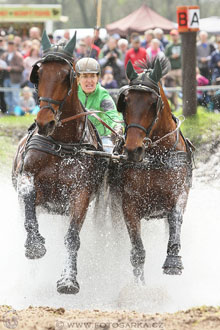 Rudolfův pohár 2016 - 4.den