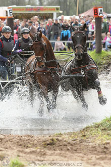 Rudolfův pohár 2016 - 4.den