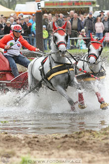 Rudolfův pohár 2016 - 4.den