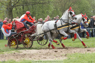 Rudolfův pohár 2016 - 4.den