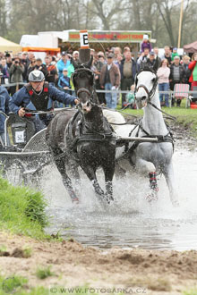 Rudolfův pohár 2016 - 4.den