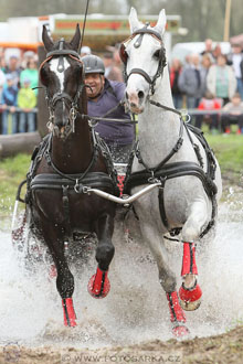 Rudolfův pohár 2016 - 4.den