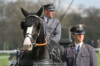 Rudolfův pohár 2016 - 5.den