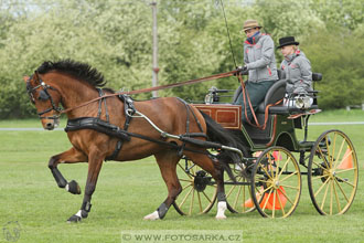 Rudolfův pohár 2016 - 5.den