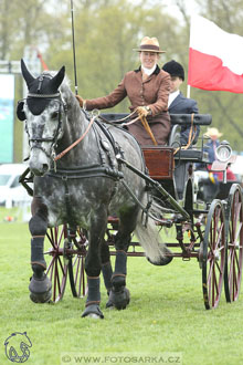 Rudolfův pohár 2017 - parkur neděle