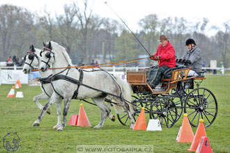 Rudolfův pohár 2017 - parkur neděle