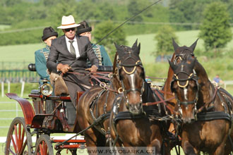 Závody spřežení Topoľčianky 2016