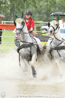 Závody spřežení Topoľčianky 2016