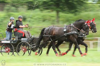 Závody spřežení Topoľčianky 2016