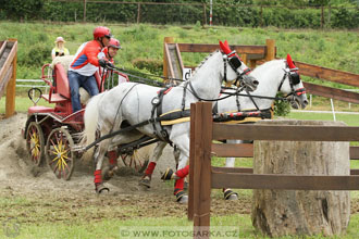 Závody spřežení Topoľčianky 2016