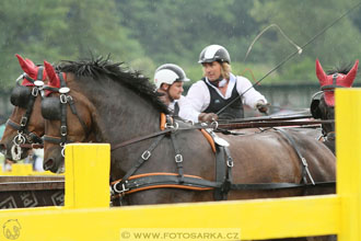 Závody spřežení Topoľčianky 2016