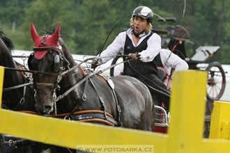 Závody spřežení Topoľčianky 2016