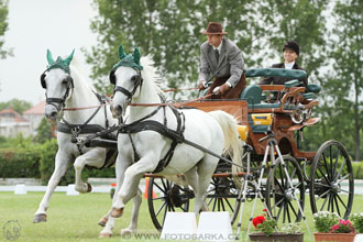 Závody spřežení Topoľčianky 2016