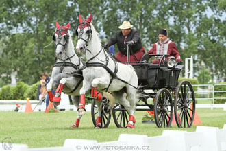 Závody spřežení Topoľčianky 2016