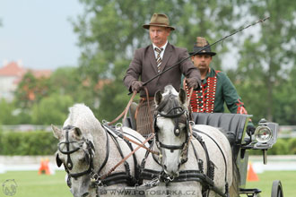 Závody spřežení Topoľčianky 2016