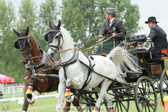 Závody spřežení Topoľčianky 2016