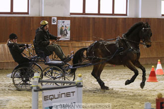 Zimní Jezdecký pohár spřežení 2016 -...