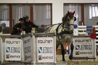 Zimní Jezdecký pohár spřežení 2016 -...