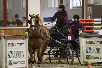 Zimní Jezdecký pohár spřežení 2016 -...