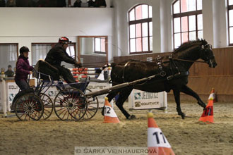 Zimní Jezdecký pohár spřežení 2016 -...